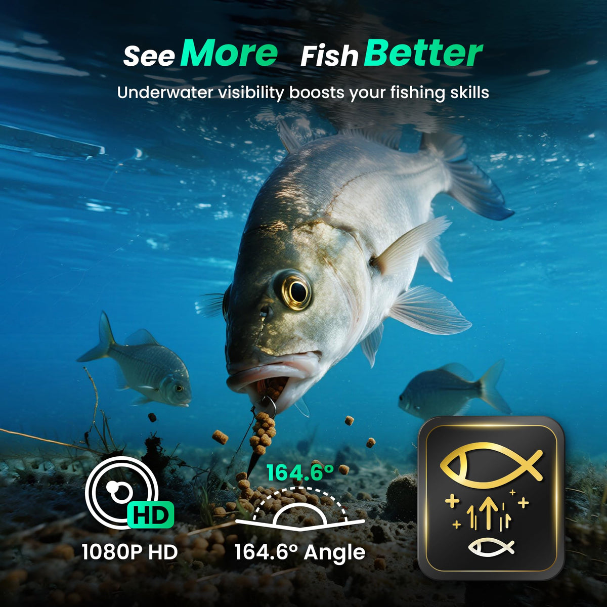 Chasing CF1 AI fish detection alerts enhance fishing awareness.