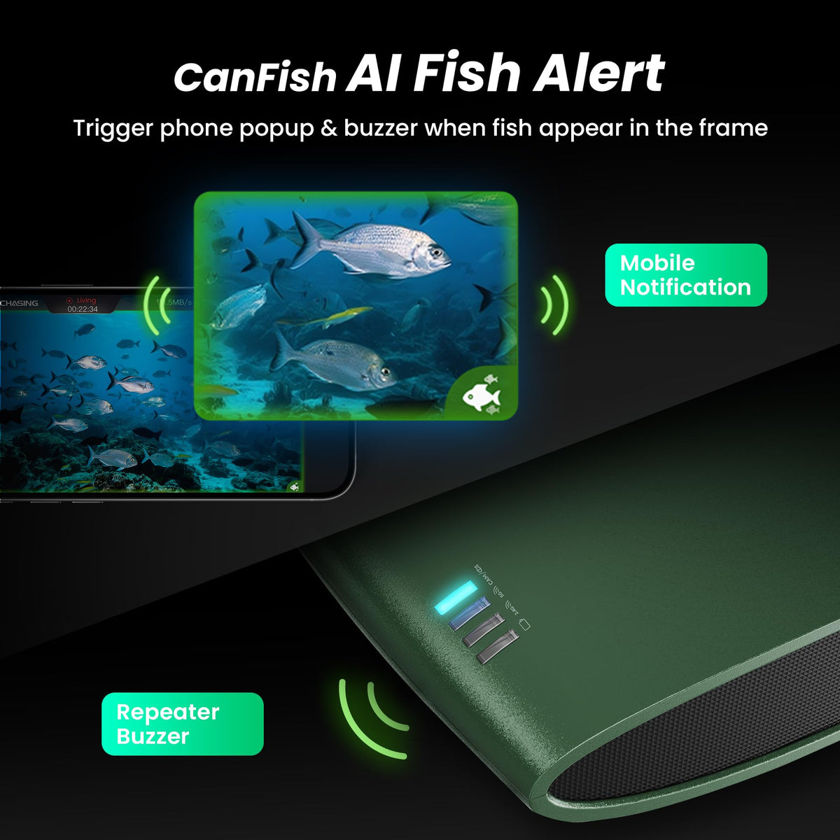 Chasing CF1 DVR recording saves underwater footage for later review.