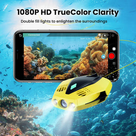 Chasing Dory headlights on reveal improved low-light underwater visibility.