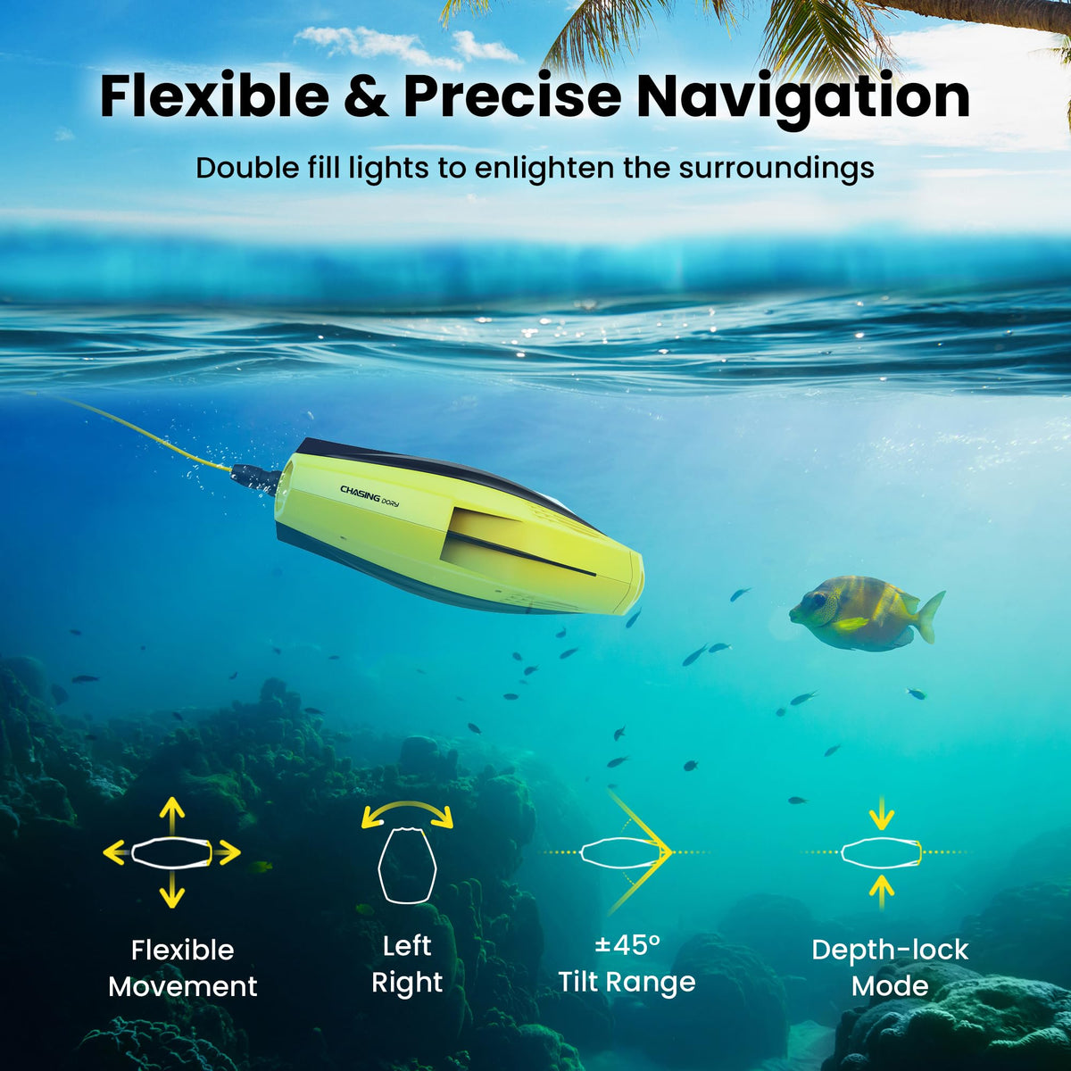 Chasing Dory palm-size case demonstrates easy transport on trips.