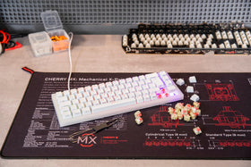 Cherry MX Red Silent on a desk setup demonstrating quiet typing and sleek aesthetics
