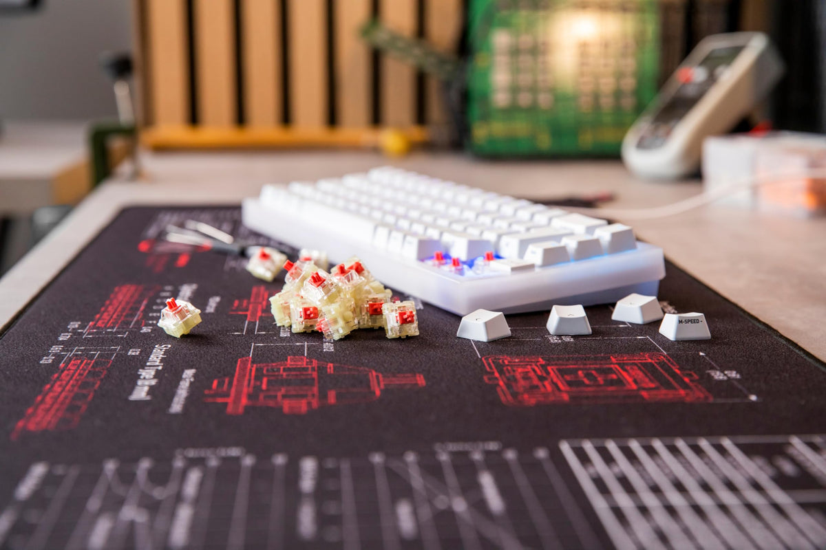 Cherry MX Red Silent secured in cardboard box emphasizing pin protection and low waste
