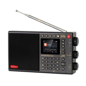 CHOYONG LC90 internet radio front view showing compact portable design for travel and home listening.