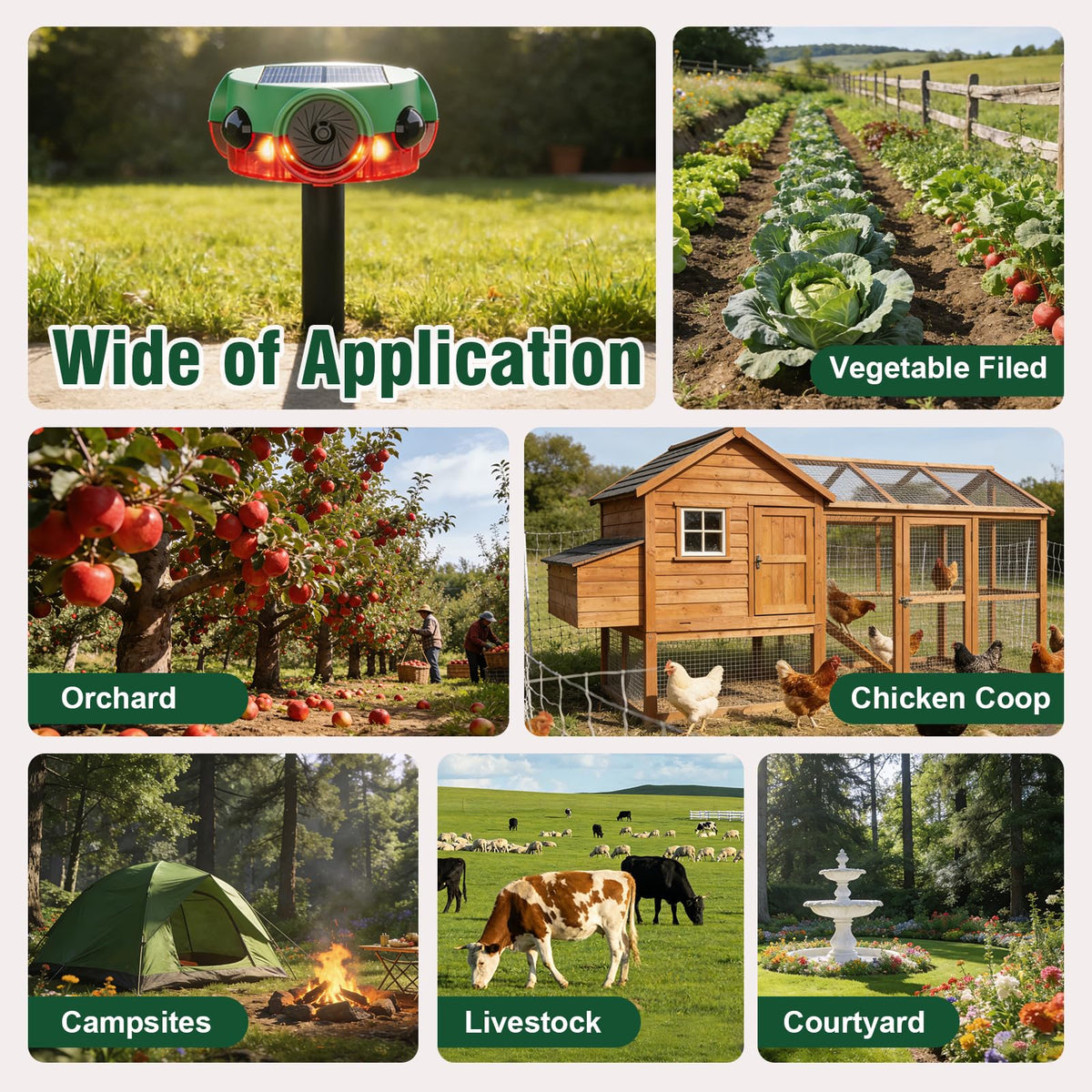 ChunHee IP65 weatherproof housing protects the device in rain, snow, and heat.