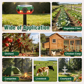 ChunHee IP65 weatherproof housing protects the device in rain, snow, and heat.