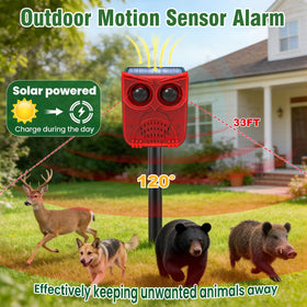 ChunHee solar motion alarm top panel highlights solar charging capability