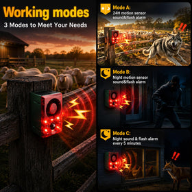 ChunHee three modes operation on the alarm unit adapts to day, night, or timer