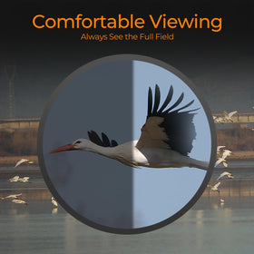 Ciannocrem close-up of objective lens coatings and glass detailing delivering brighter, sharper images