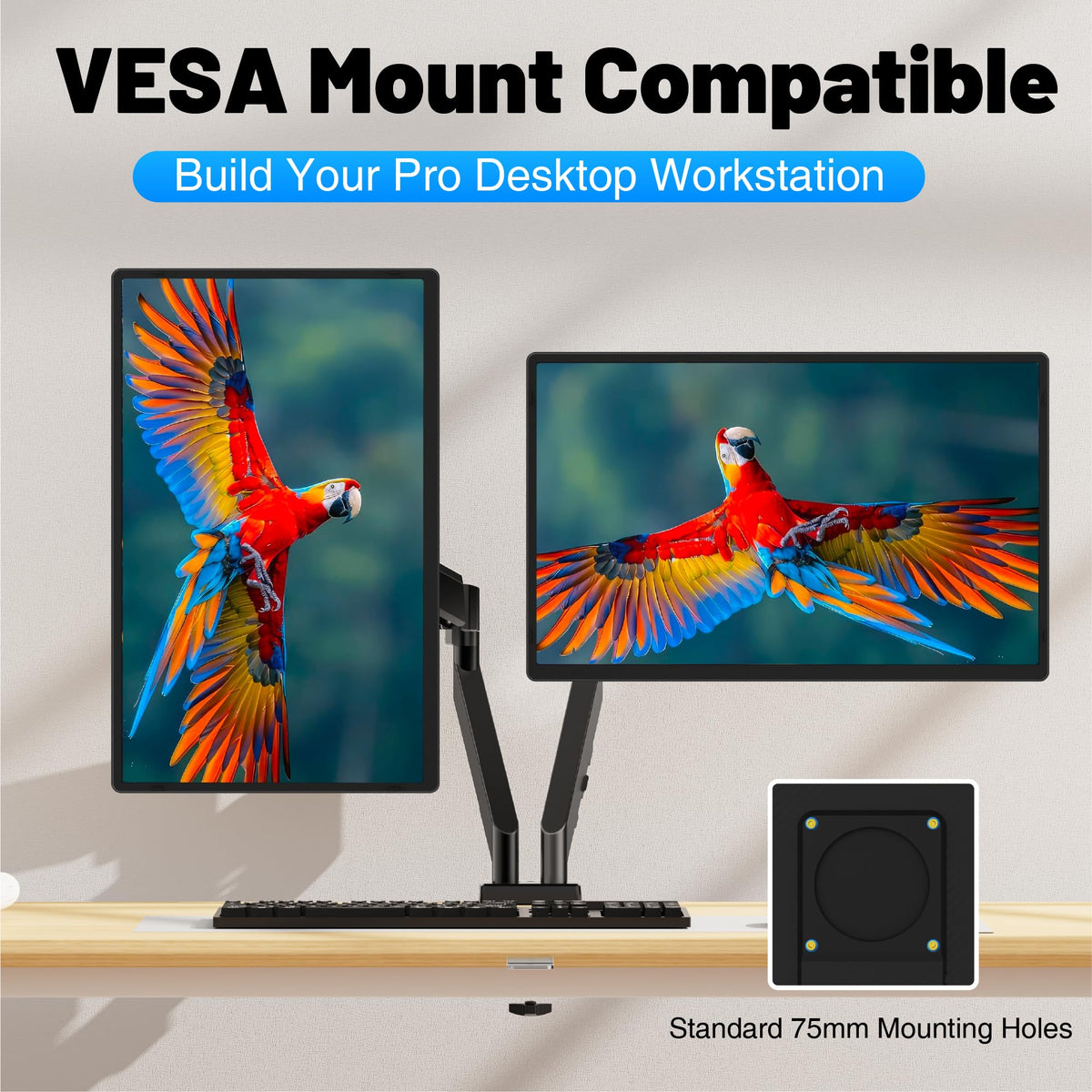 CIDETTY VESA-mount compatibility for wall or arm mounting.