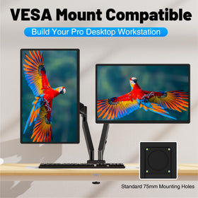 CIDETTY VESA-mount compatibility for wall or arm mounting.