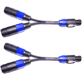 CNCESS CESS-132 1-in-2-out design supports flexible stage setups.