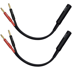 CNCESS stereo pair used with binding posts, convenient two-pack for paired speakers