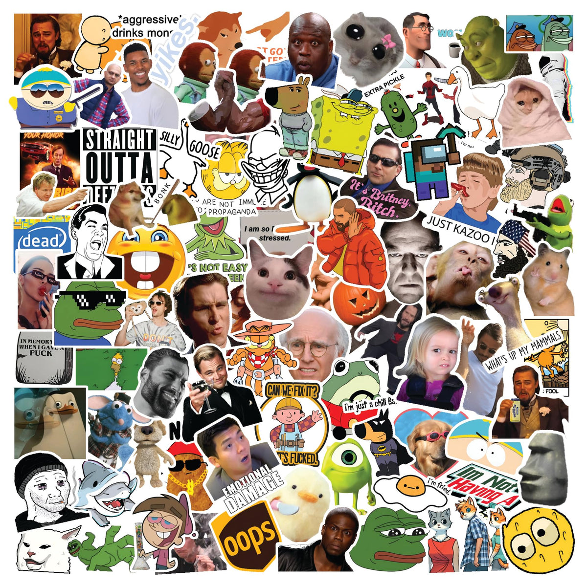 CodersParadise 230plus meme stickers on laptop for bold personal expression.