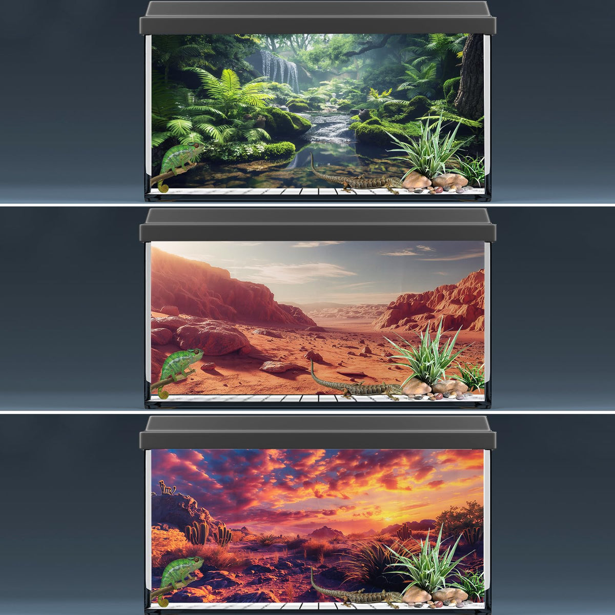 COMSUN terrarium background forest-edge adds layered scenery for enrichment.