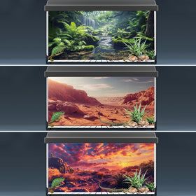 COMSUN terrarium background forest-edge adds layered scenery for enrichment.