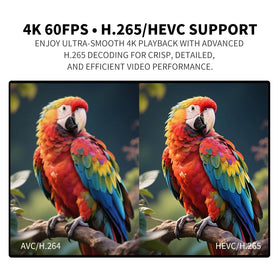 COSOWELL playing 4K video on TV in living room for clear display benefit