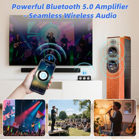 Durable protective case around the Cozychord ZK-1002T amplifier board
