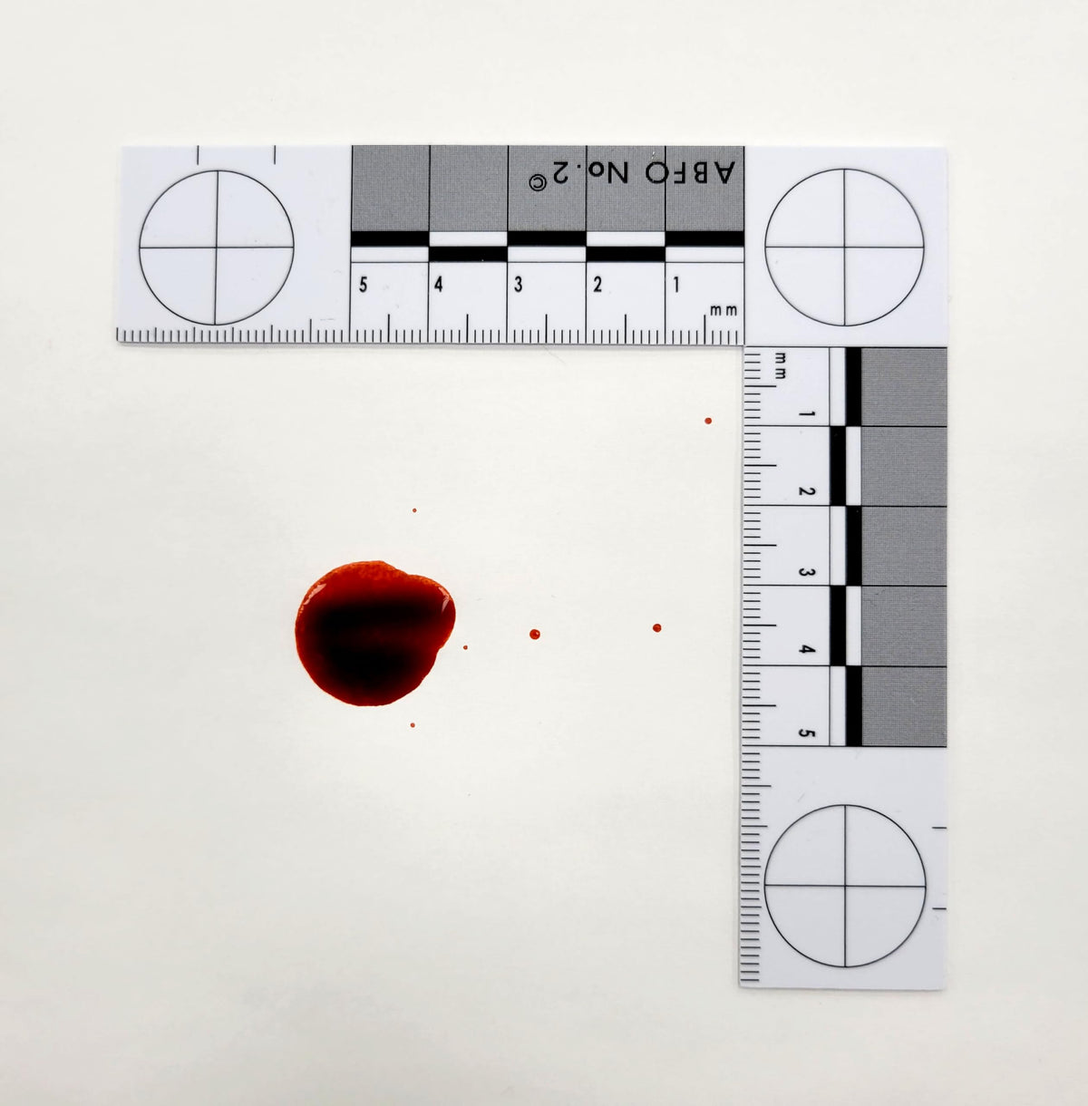 Crime Scene scale front view showing L shape and overall size for clear scene context