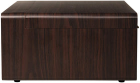 Crosley CR7016A-MA Rhapsody AM-FM radio section for traditional listening