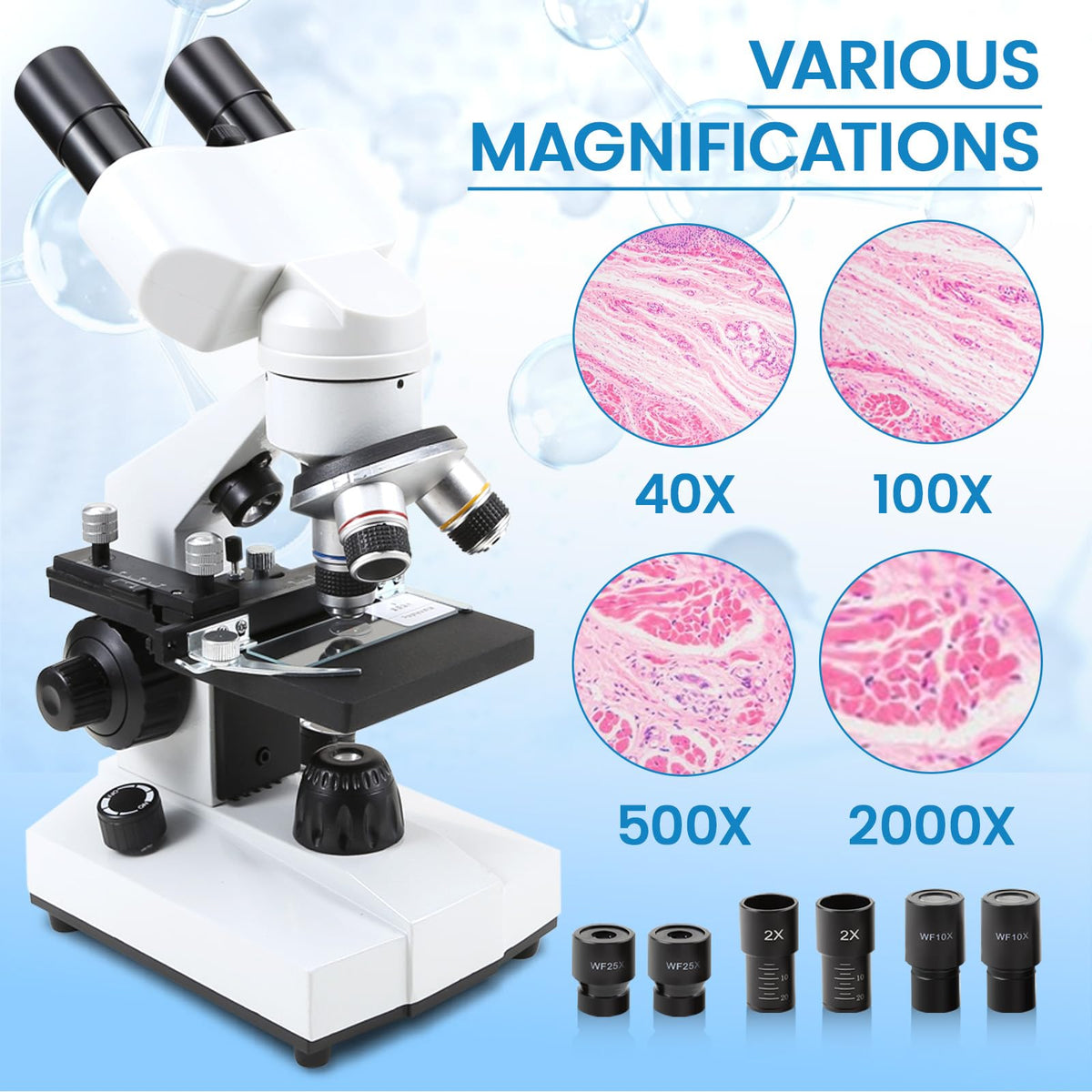 Crspexil phone holder enables image capture during observations.