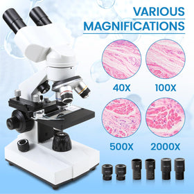 Crspexil phone holder enables image capture during observations.