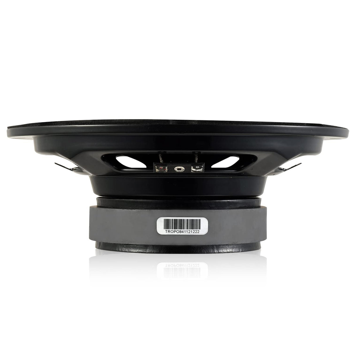 CT Sounds TROPO8-4 cone texture detail showing rigid cone, reduced distortion benefit