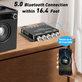Daakro ZK-TB21 AUX and Bluetooth inputs for versatile sources