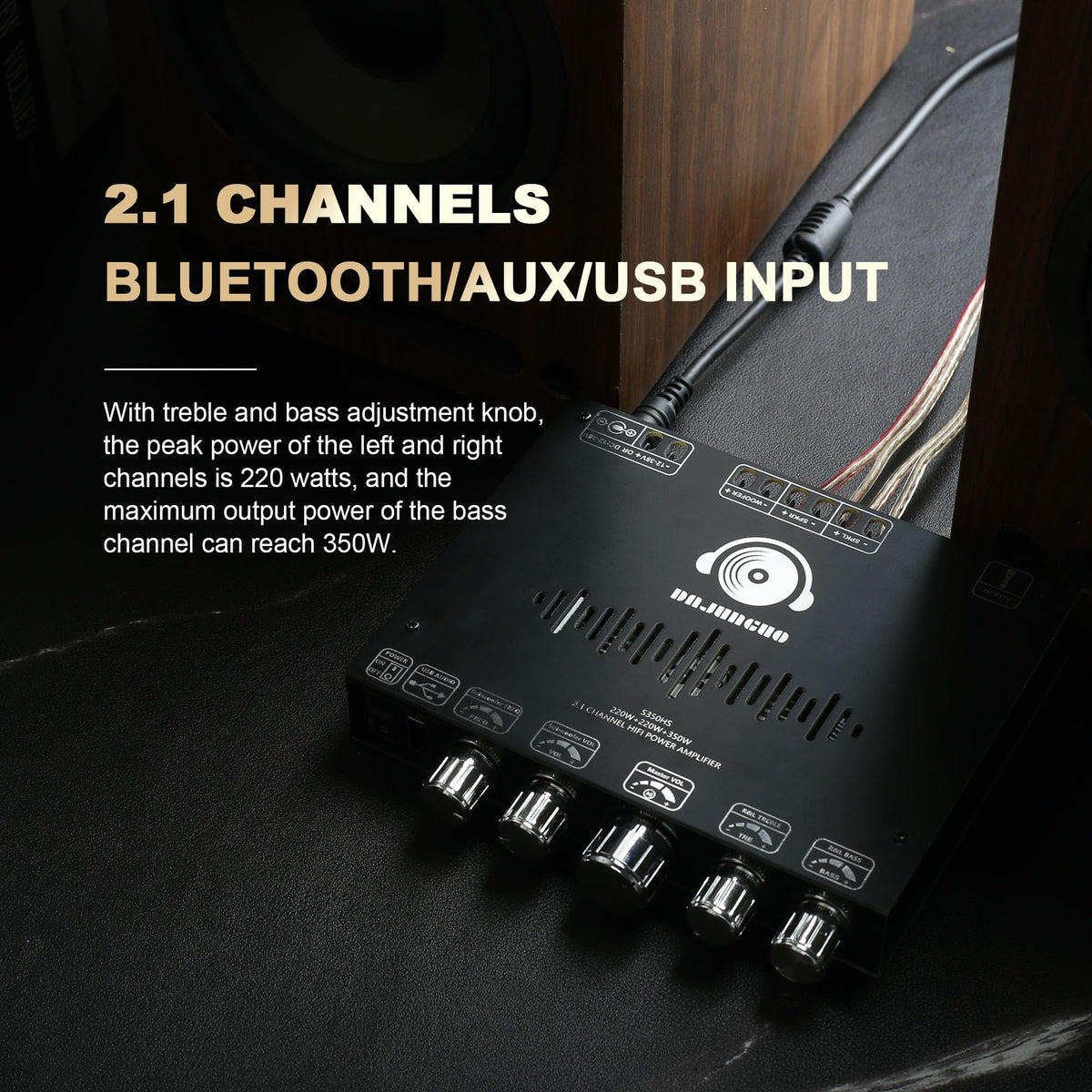 DAJUNGUO S350HS rear connectors showing power, speaker outputs and input ports for flexible wiring