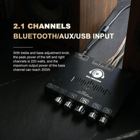 DAJUNGUO S350HS rear connectors showing power, speaker outputs and input ports for flexible wiring