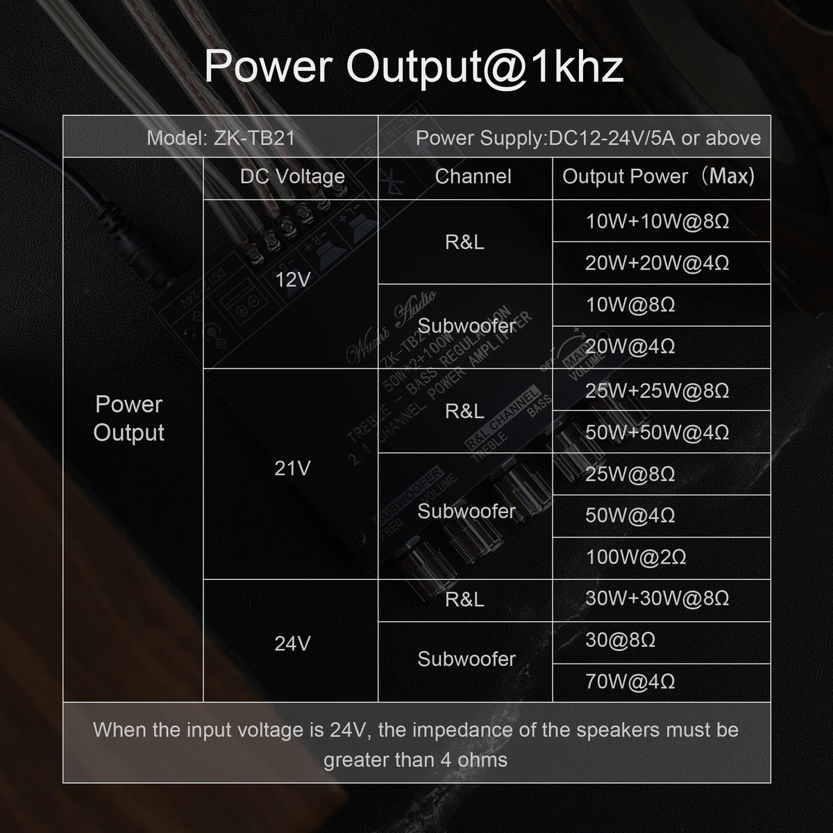 DAMGOO TB21 speaker outputs illustrate connections for DIY builds