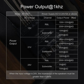 DAMGOO TB21 speaker outputs illustrate connections for DIY builds