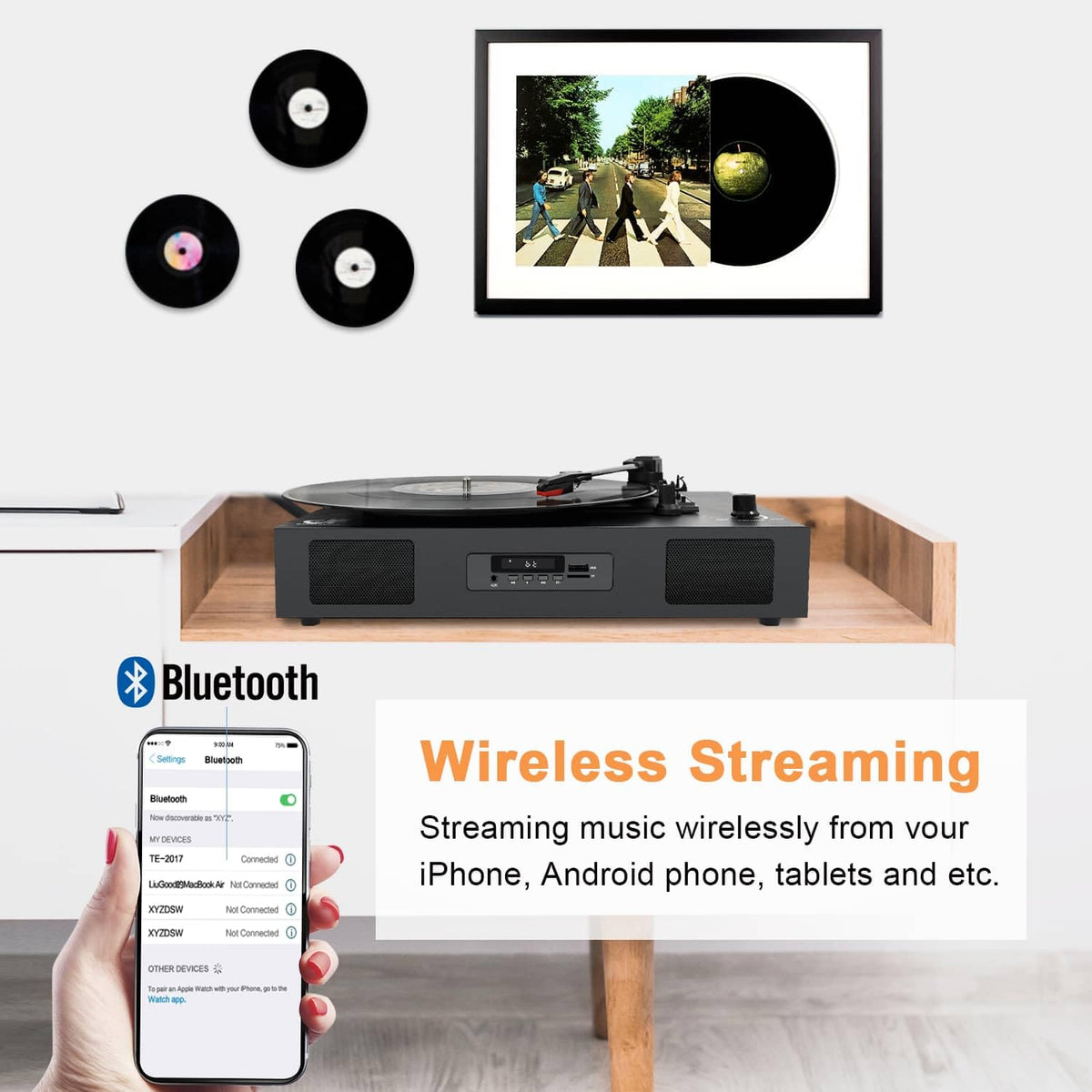 DANFI AUDIO DF auto-stop-and-dust-cover protects records during use.