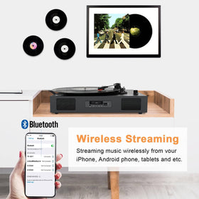 DANFI AUDIO DF auto-stop-and-dust-cover protects records during use.