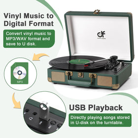 DANFI AUDIO DF auto-stop protects records by ending playback.