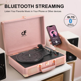 DANFI AUDIO DF belt-drive with bass control for customized sound