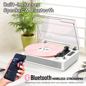 DANFI AUDIO DF belt-drive system delivers smooth playback and stable operation
