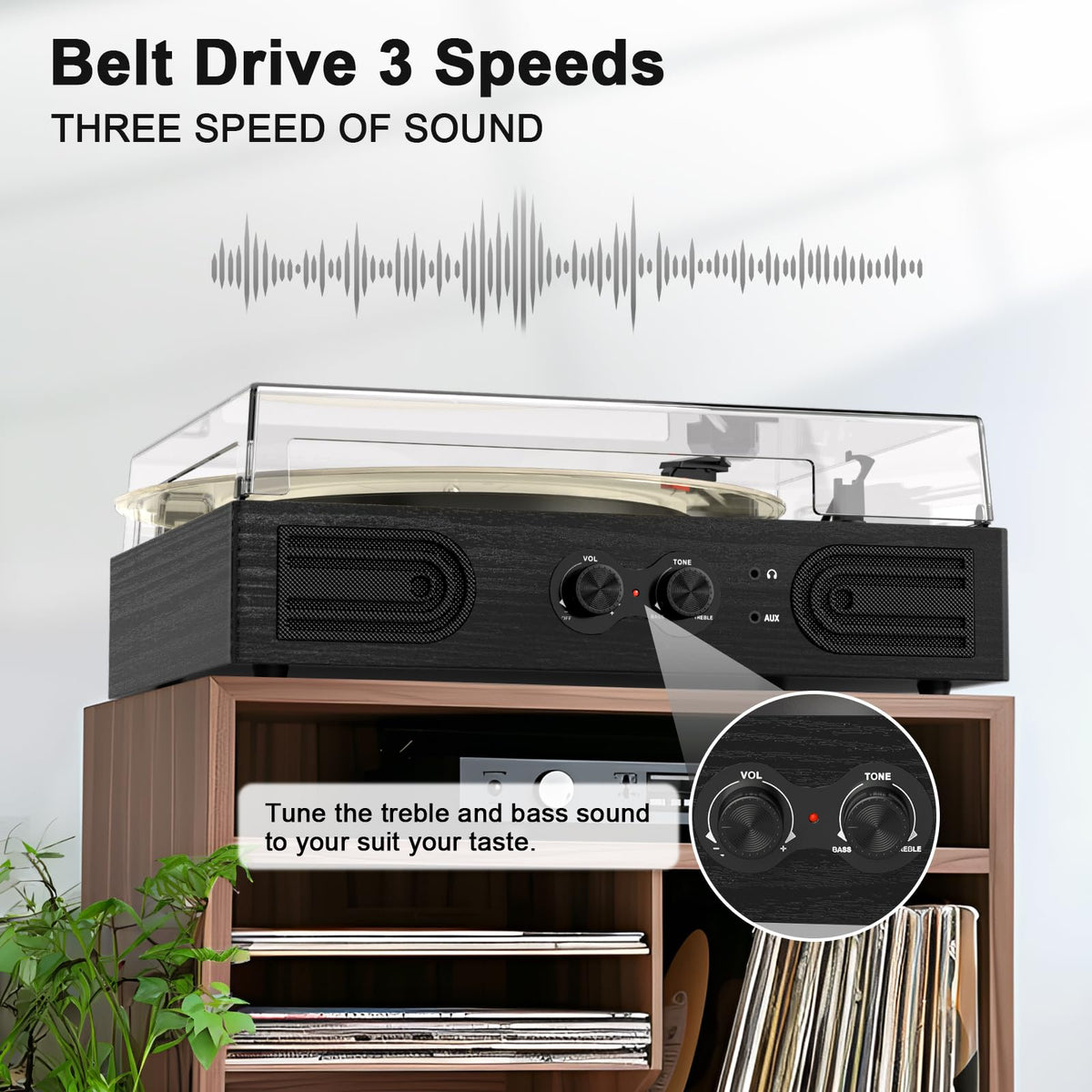 DANFI AUDIO DF belt-drive with spring suspension reduces motor vibration