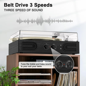 DANFI AUDIO DF belt-drive with spring suspension reduces motor vibration