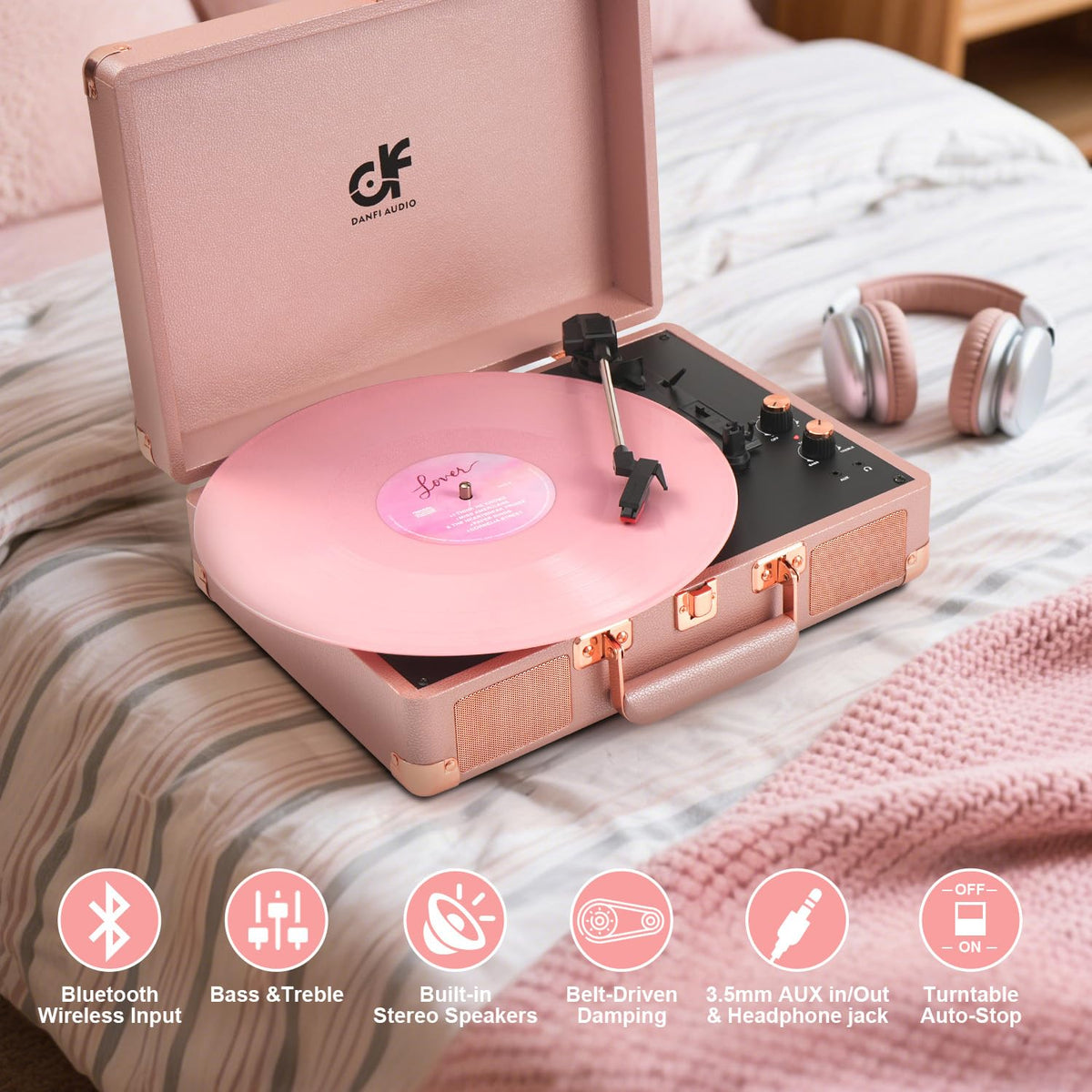 DANFI AUDIO DF Bluetooth and RCA connections for flexible setups