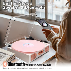 DANFI AUDIO DF built-in Bluetooth input for wireless streaming to the speakers