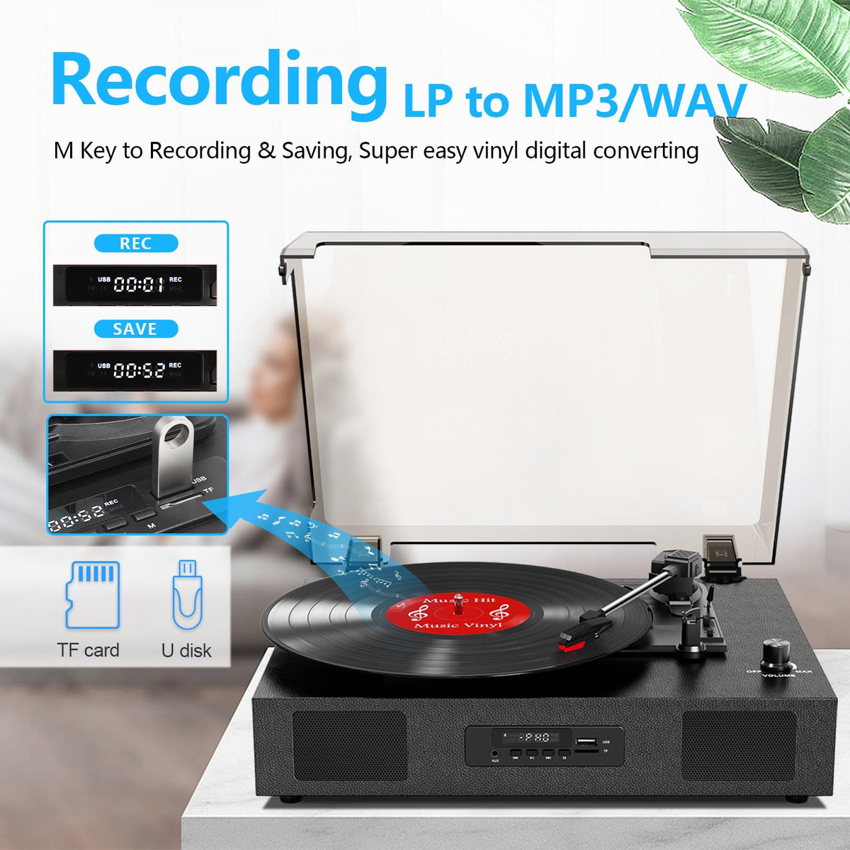 DANFI AUDIO DF bluetooth-input enables wireless streaming from phone or tablet.