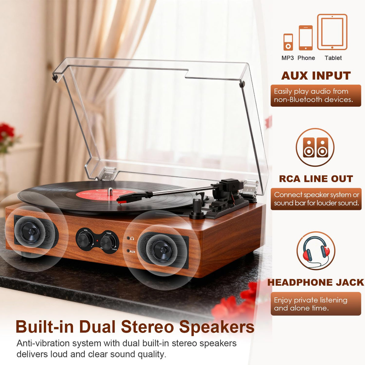 DANFI AUDIO DF built-in speakers close-up with dual drivers