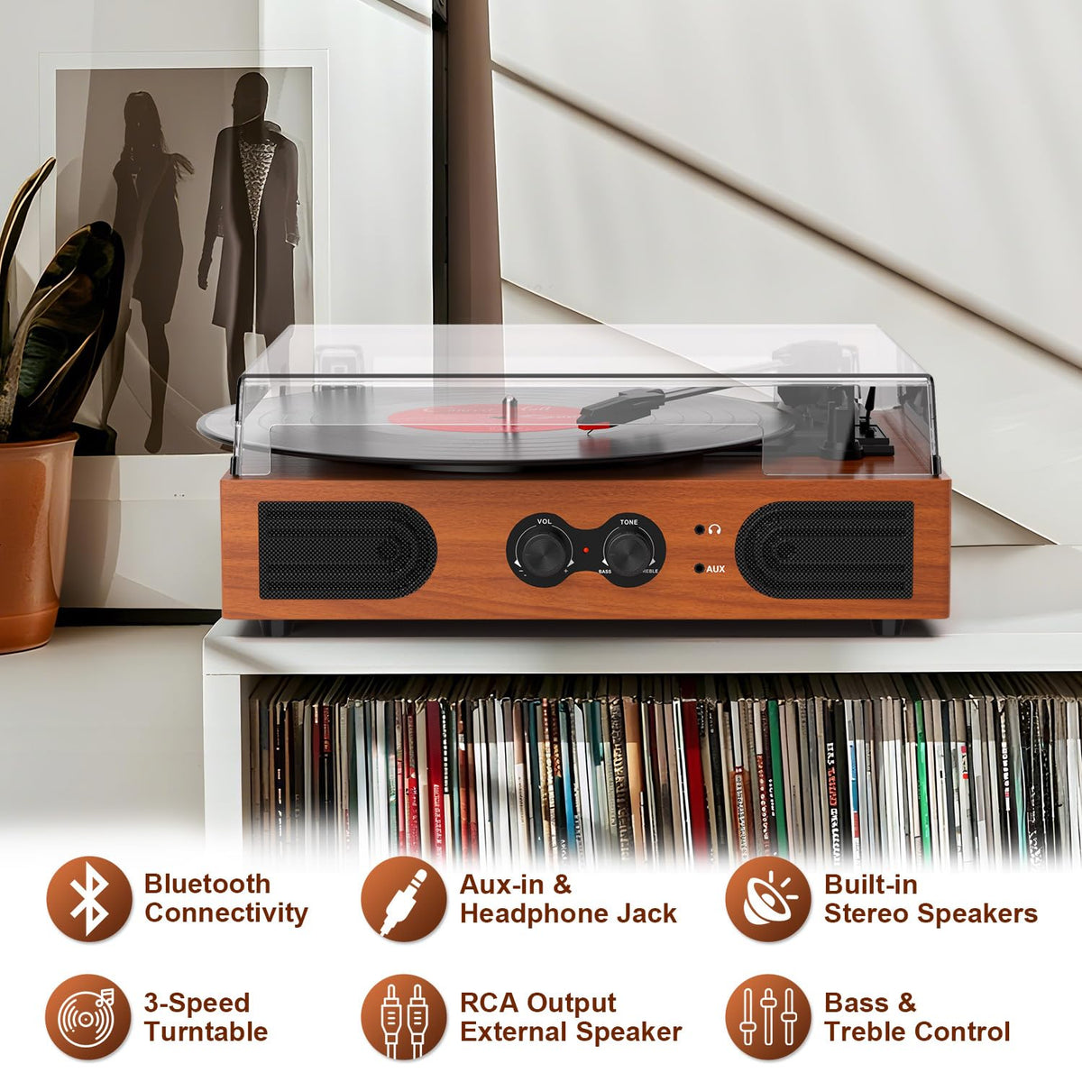 DANFI AUDIO DF treble and bass control knobs close-up