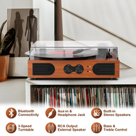 DANFI AUDIO DF treble and bass control knobs close-up