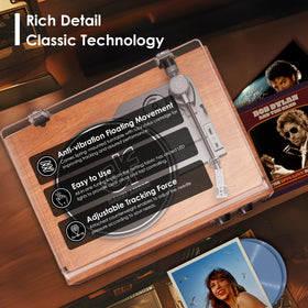 DANFI AUDIO DF dust cover open with vinyl on platter protecting records while offering easy access