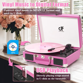 DANFI AUDIO DF hot pink turntable RCA output to external speakers