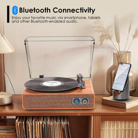 DANFI AUDIO DF in use in a living room with record playing and Bluetooth streaming convenience