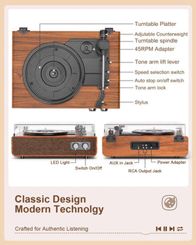 DANFI AUDIO DF platter and stylus close-up demonstrating precise needle placement benefit: cleaner playback