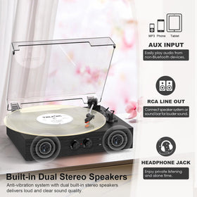 DANFI AUDIO DF RCA-out and AUX-in provide external speaker options