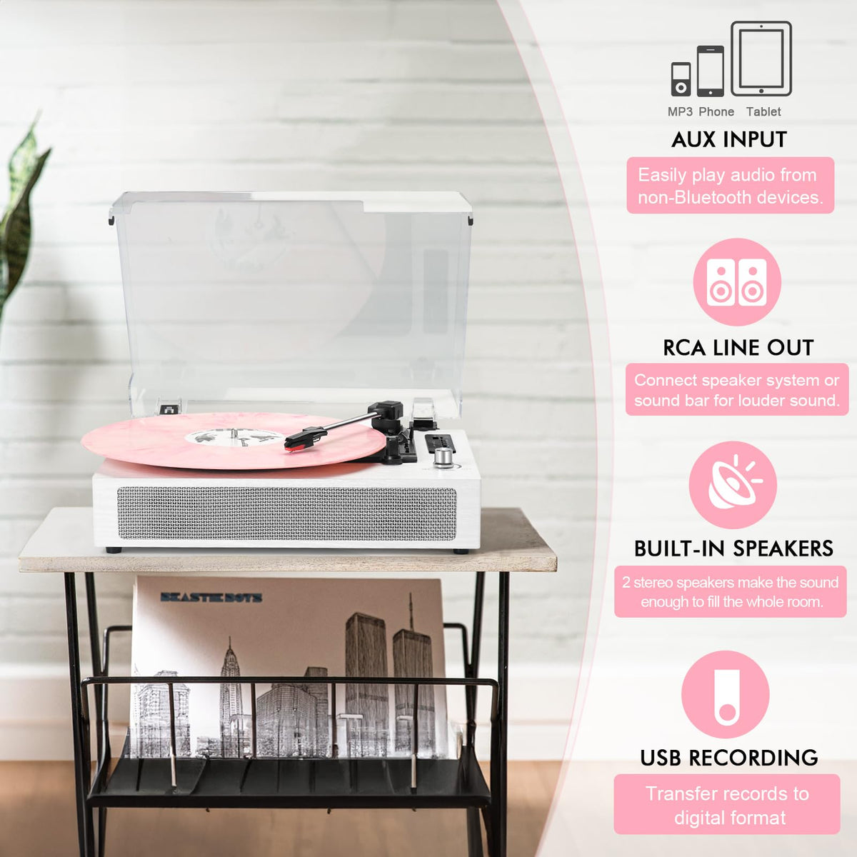 DANFI AUDIO DF removable dust cover helps keep records clean